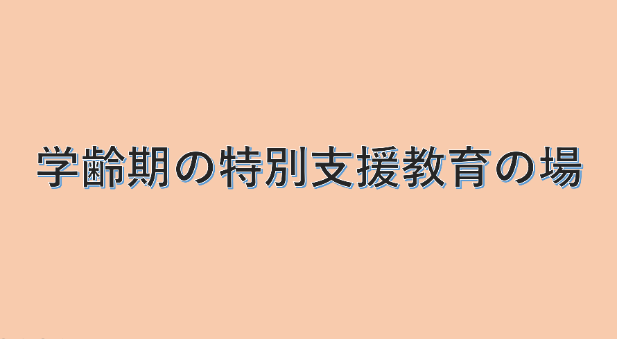 今の特別支援学級は、保護者の方が小学生だった頃に比べるとずいぶん変わってきています。二つ目の動画では、小学校の特別支援教育についてお話をしました。